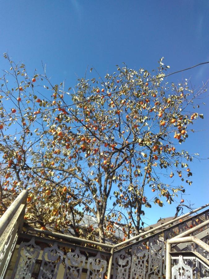 9 Plus - Orbeli Exterior photo