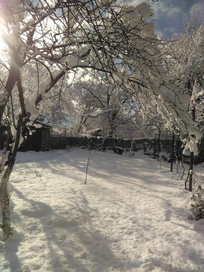 9 Plus - Orbeli Exterior photo